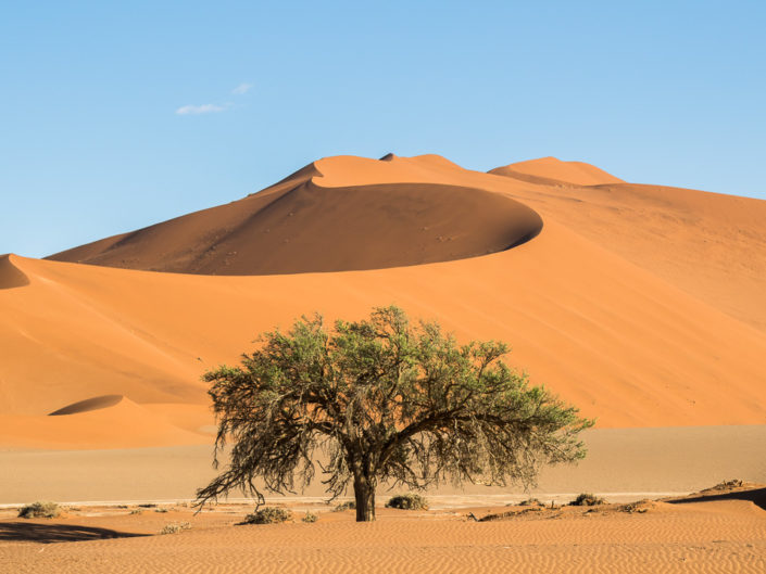 Namibie 2016
