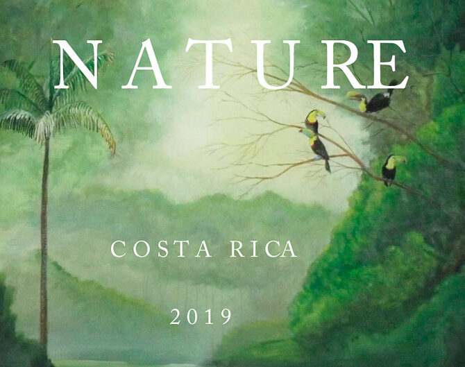 Nature - Costa Rica 2019